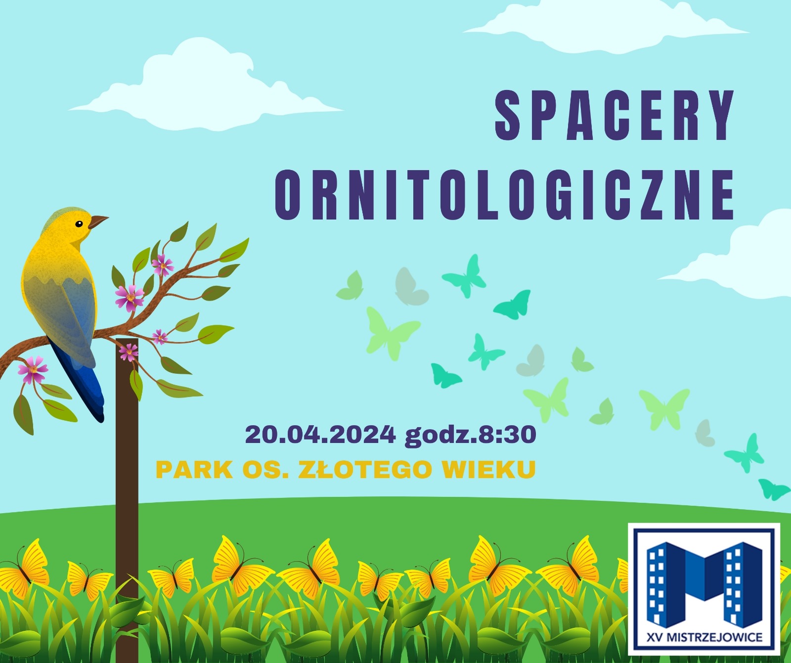 Spacery Ornitologiczne 20.04.2024